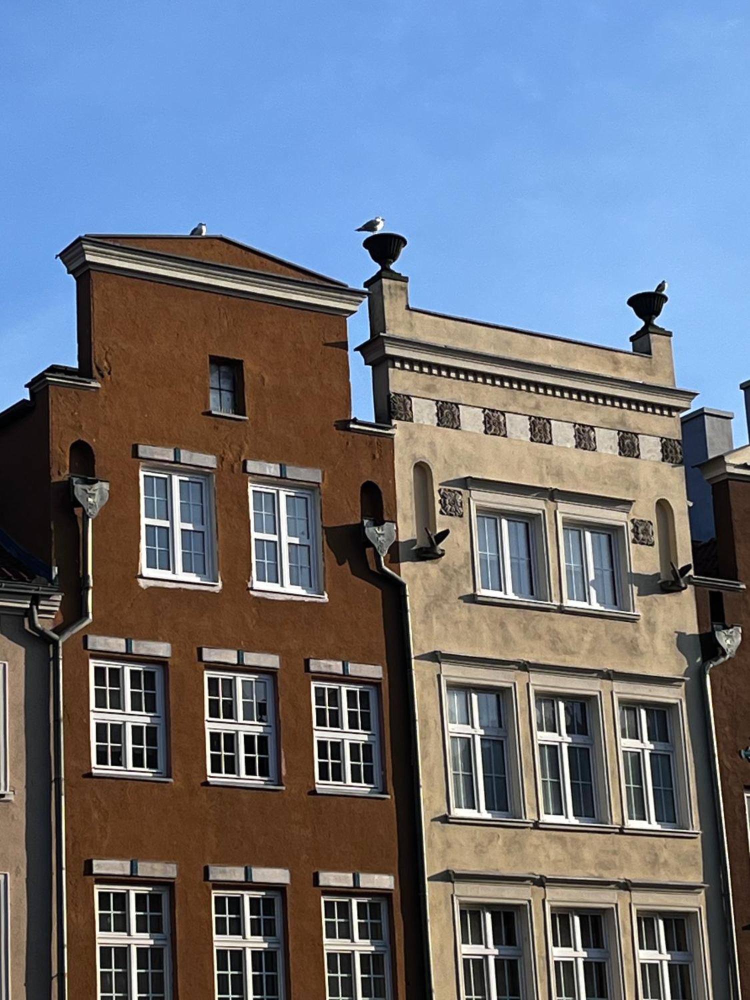 Grand Apartment - Old Town & City Center Gdańsk Exteriör bild
